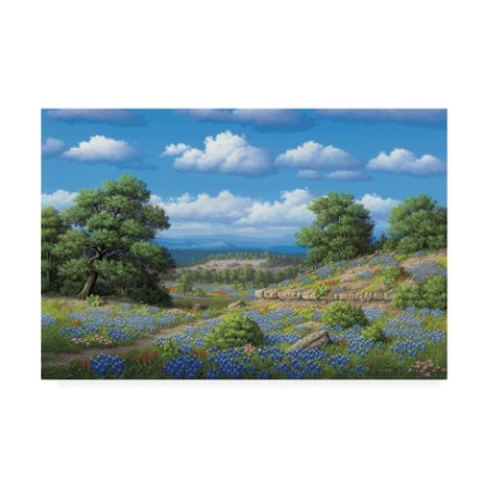 R W Hedge 'Hill Country Blues' Canvas Art,16x24